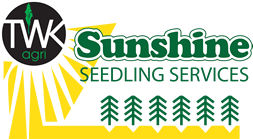 Sunshine Seedlings