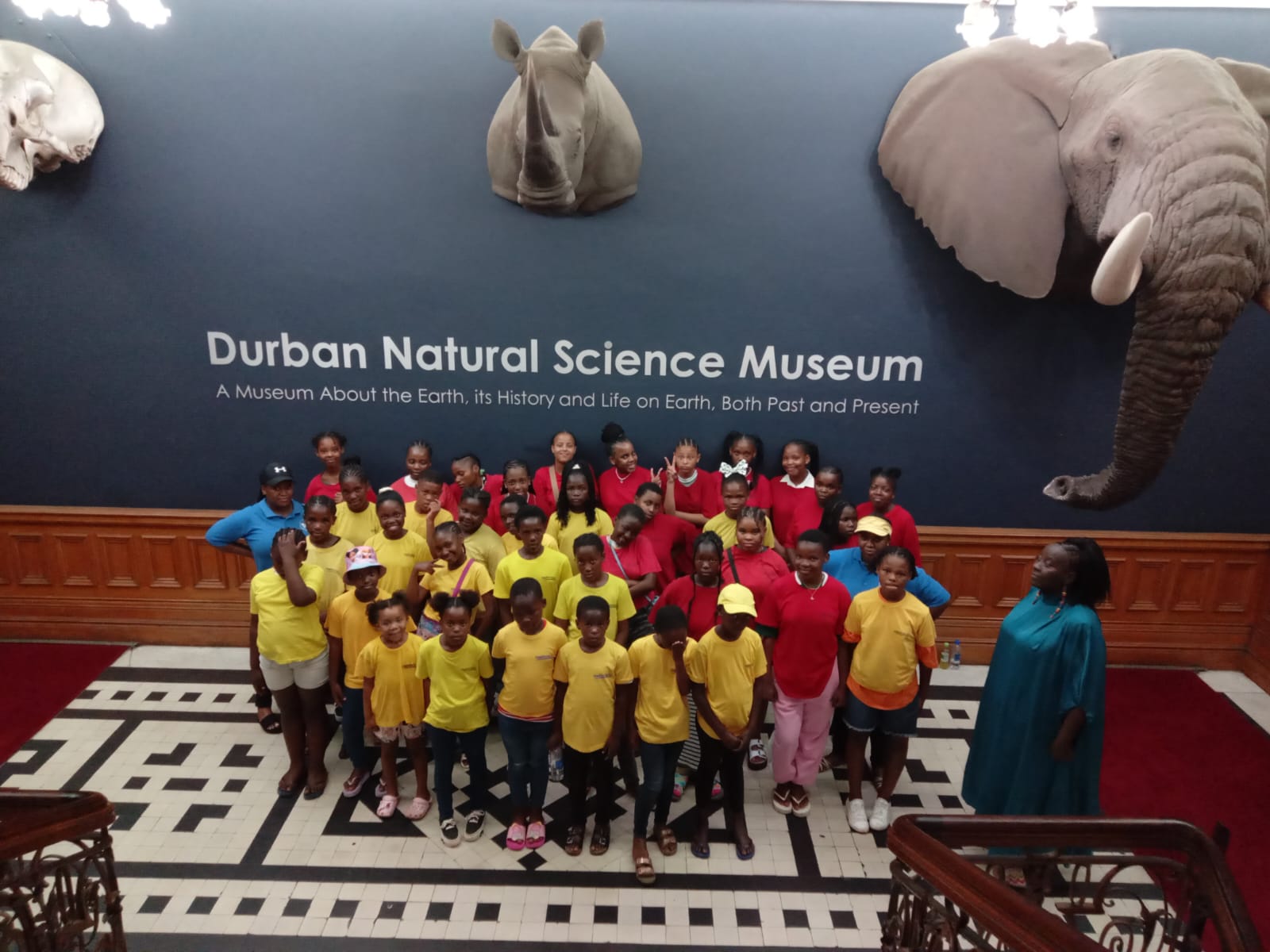 Powergirls Programme